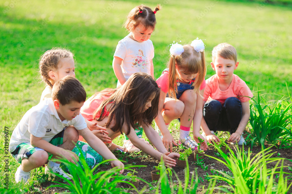 Children's hands planting young tree on black soil together as the world's concept of rescue Children's hands planting young tree on black soil together as the world's concept of rescue