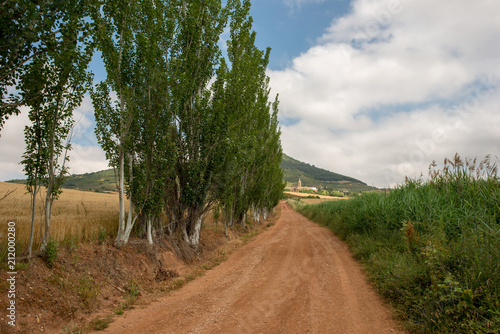 Camino de Santiago as it passes through Navarra photo