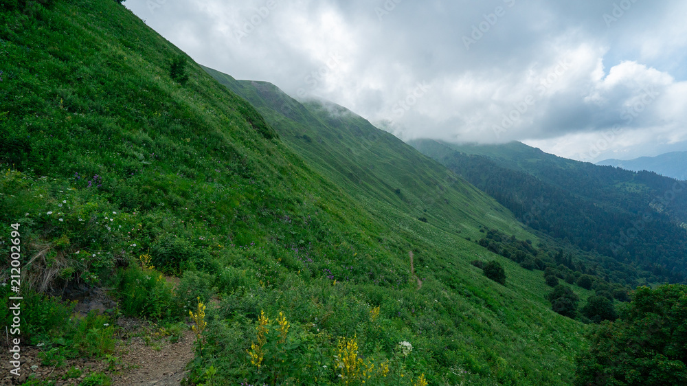 gorgeous panorama of the Caucasus mountains