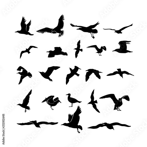 Set of sea gull, seabird flying black silhouette. Freehand drawing. Drawing free flight group icon. Freedom print art. Vector illustration marine birds flock. Isolated on white background