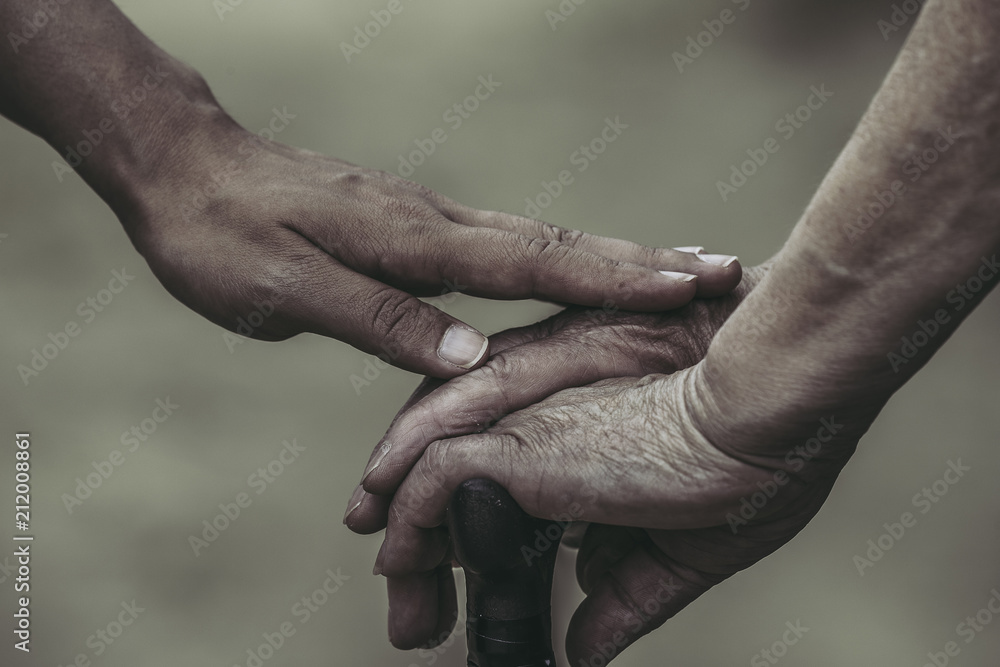 Fototapeta premium 杖を持つ女性に手を添える女性