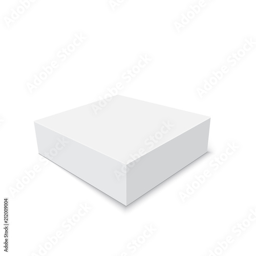 Blank of cardboard box isolated on white background. Vector