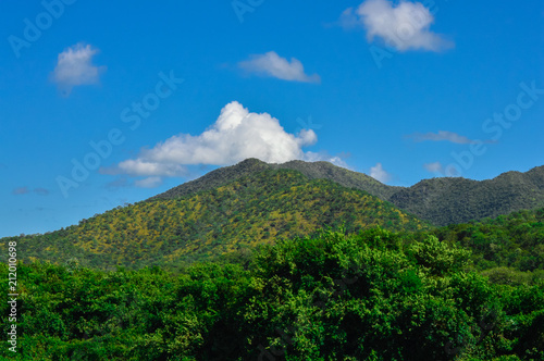 Pantanal