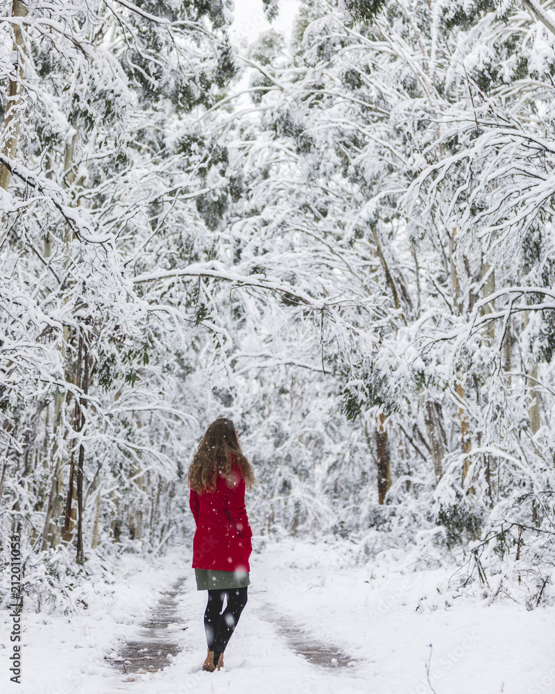 Girl in Snow forest