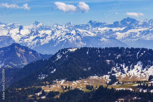 Landscape view of Alps snow mountain with pine tree looking from Rigi kulm Luzern Switzerland