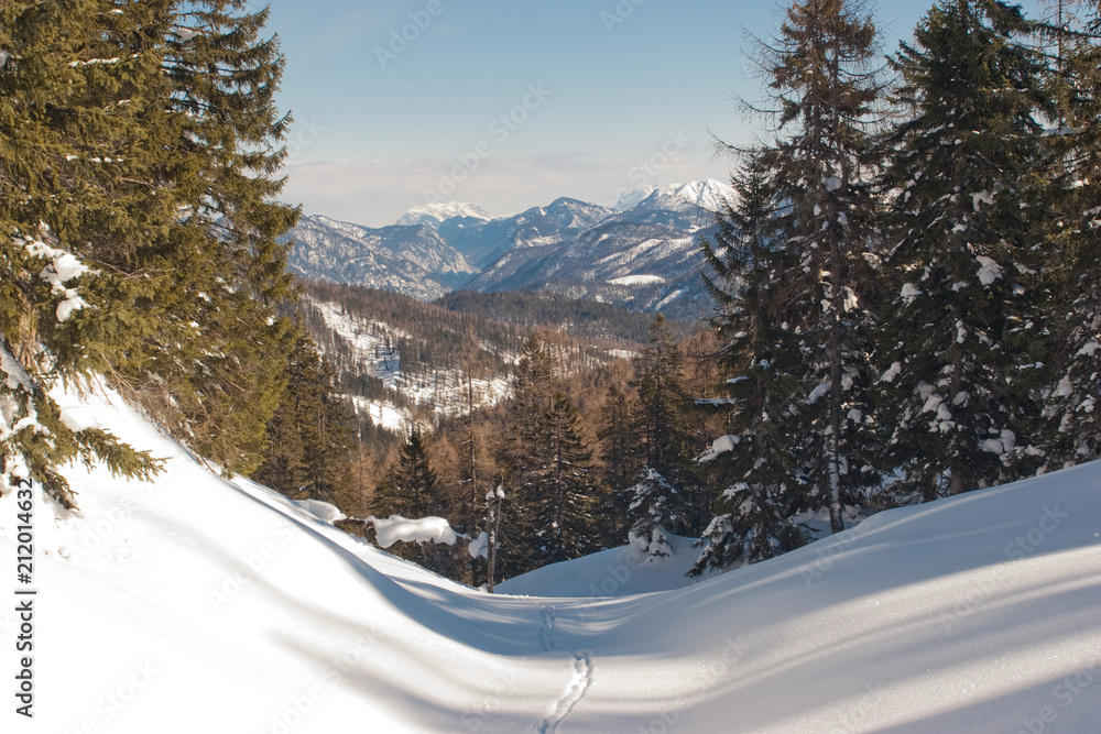 realy winter in Achenkirch realy winter in Achenkirch