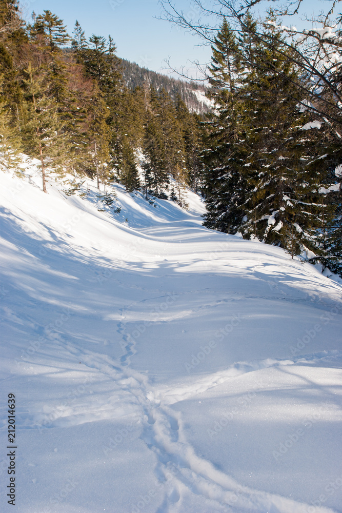 really winter in Achenkirch really winter in Achenkirch