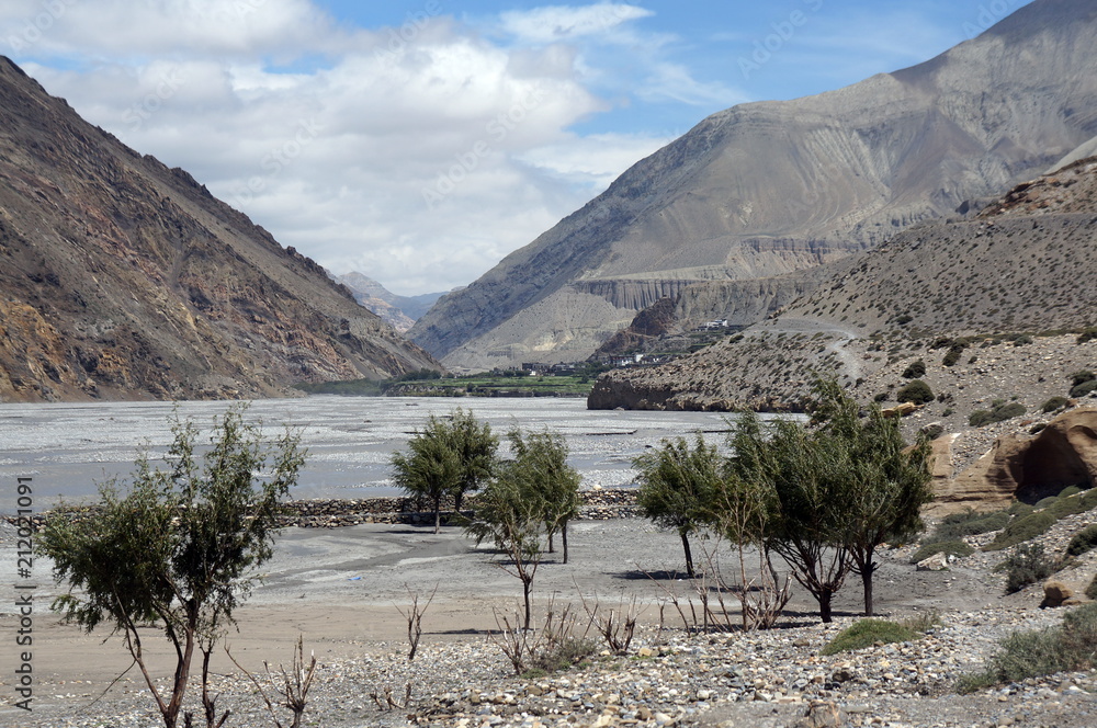 Trees grow on the banks of the Kali Gandaki River in the Dolna of the Himalayan Mountains. Nepal. Upper Mustang. - obrazy, fototapety, plakaty 