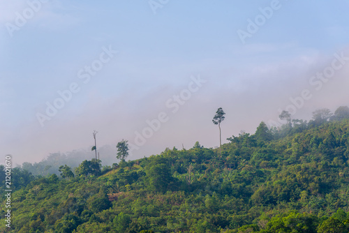 Rainforest hill in Sabah Borneo with morning fog