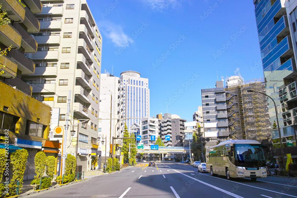 恵比寿駅前から渋谷橋交差点方面の景観
