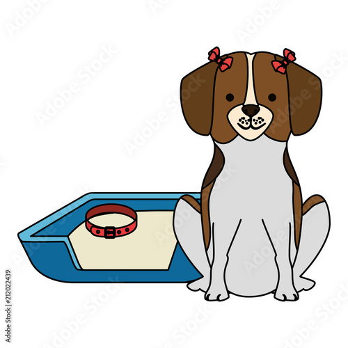 cute dog pet with bed character