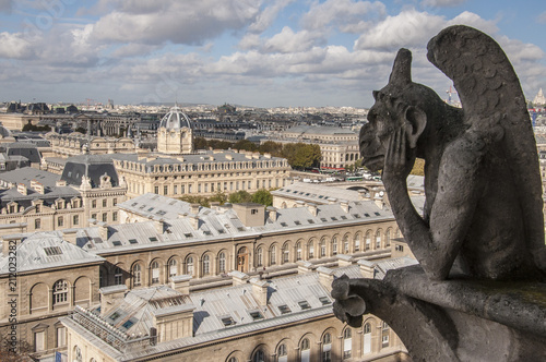 Gargoyle with city Paris © JaviGutierrezOk