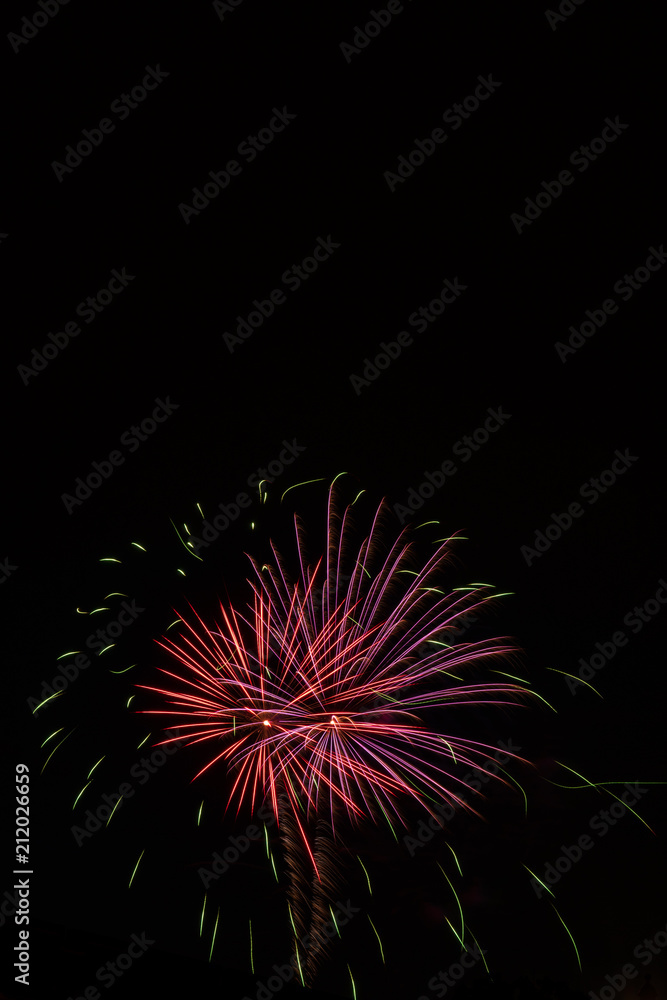 Independence Day Fireworks Firing in Black Night Sky Independence Day Fireworks Firing in Black Night Sky