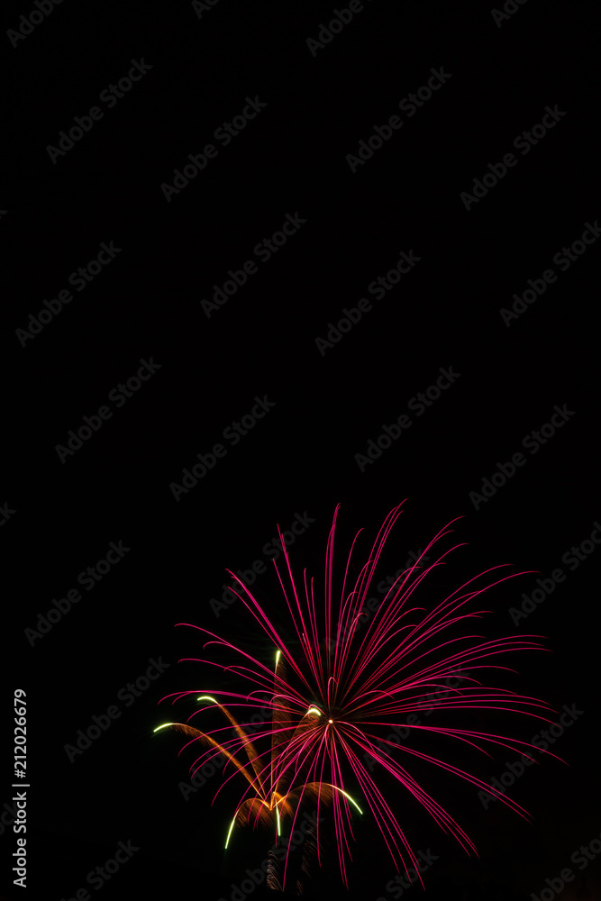Independence Day Fireworks Firing in Black Night Sky Independence Day Fireworks Firing in Black Night Sky