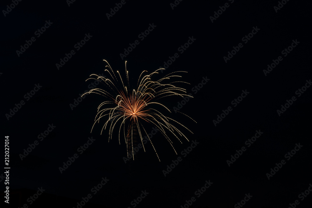 Independence Day Fireworks Firing in Black Night Sky Independence Day Fireworks Firing in Black Night Sky