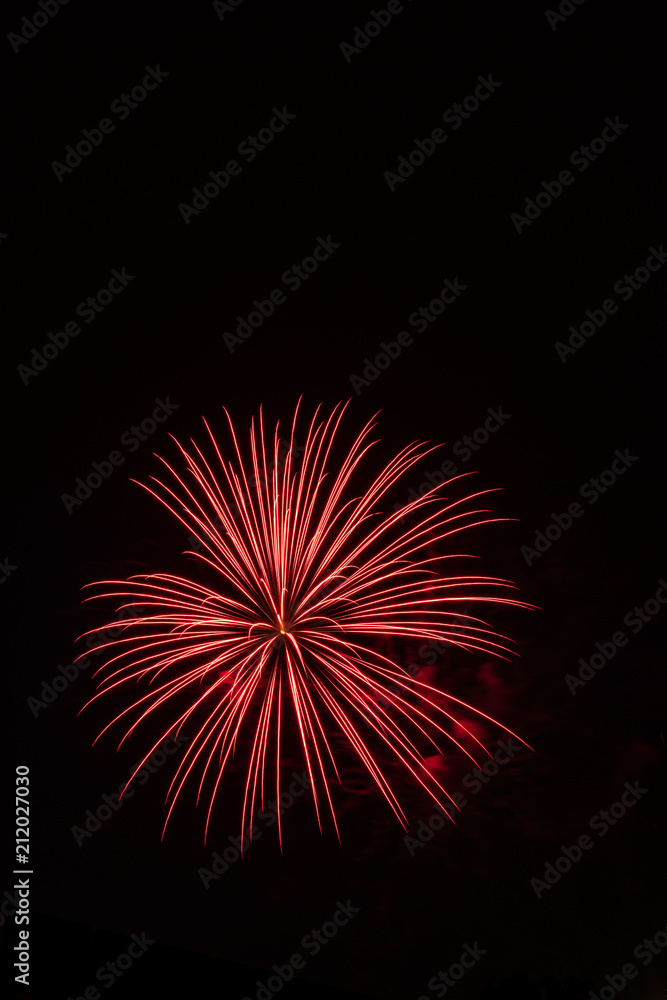 Independence Day Fireworks Firing in Black Night Sky Independence Day Fireworks Firing in Black Night Sky