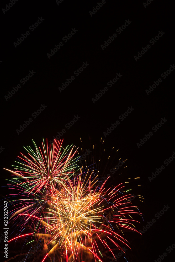Independence Day Fireworks Firing in Black Night Sky Independence Day Fireworks Firing in Black Night Sky