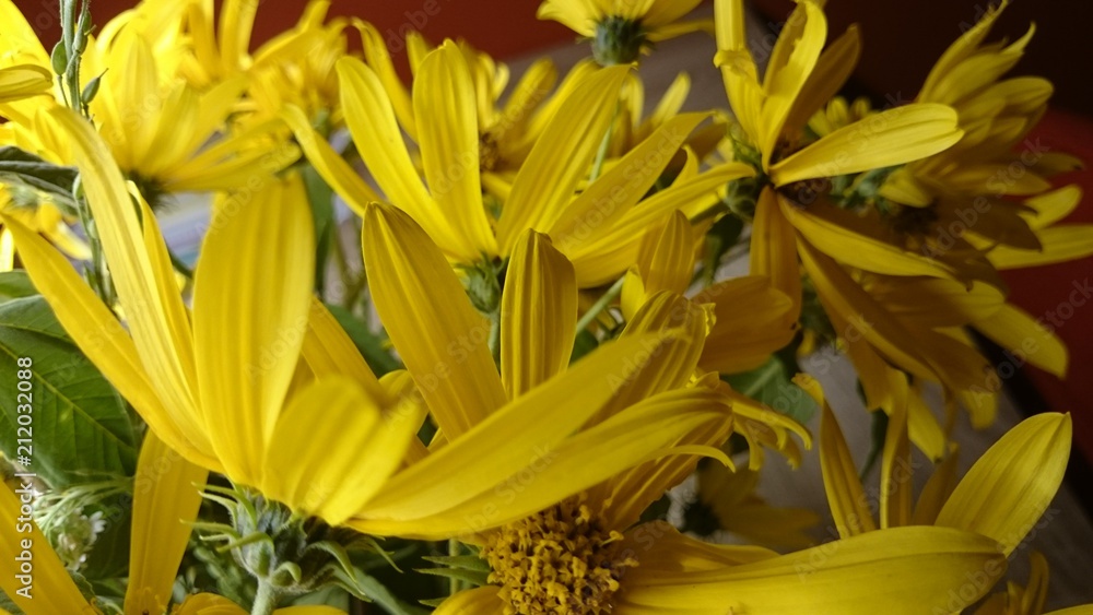 Obraz premium Topinambur