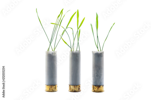 No war concept photo. Sprouts of grass grows out of gun cartridge (shotgun). White isolated background. photo