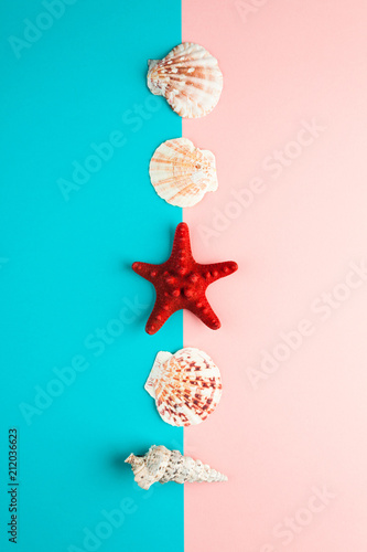 seashells and starfish laid out in a line
