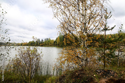 Autumn colours trees near the calm lake