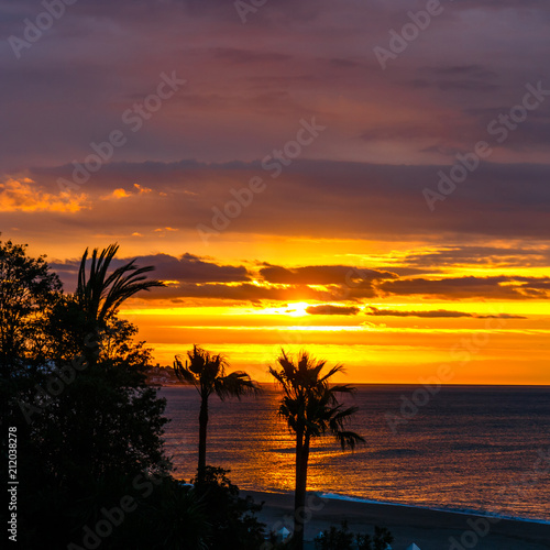 Silhouette of palm trees at sunset  Spain