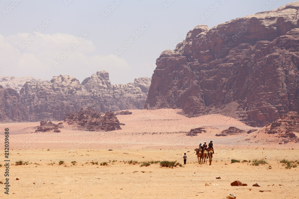 Caravan of camels walking in the Wadi Rum desert in Jordan on a sunny day Caravan of camels walking in the Wadi Rum desert in Jordan on a sunny day