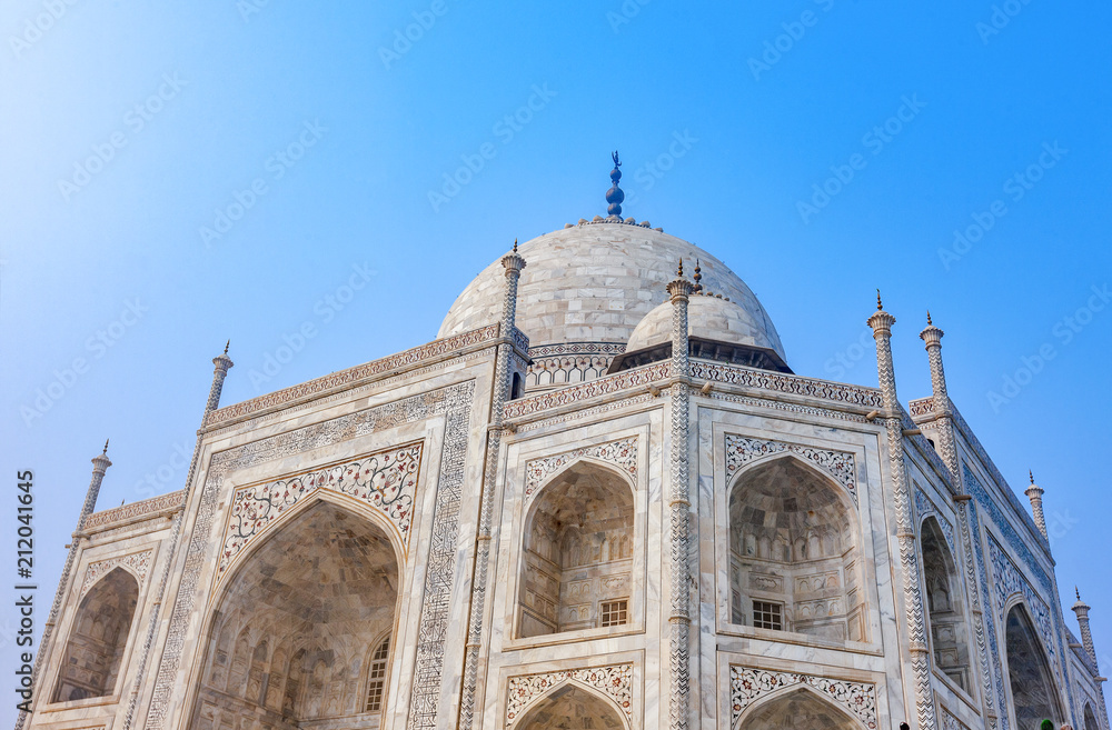 TTaj Mahal, India - architectural fragment and details of the Grand Palace