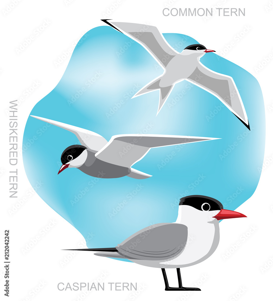Naklejka premium Bird Tern Set Cartoon Vector Illustration