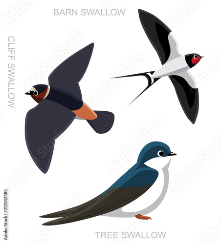 Bird Swallow Set Cartoon Vector Illustration