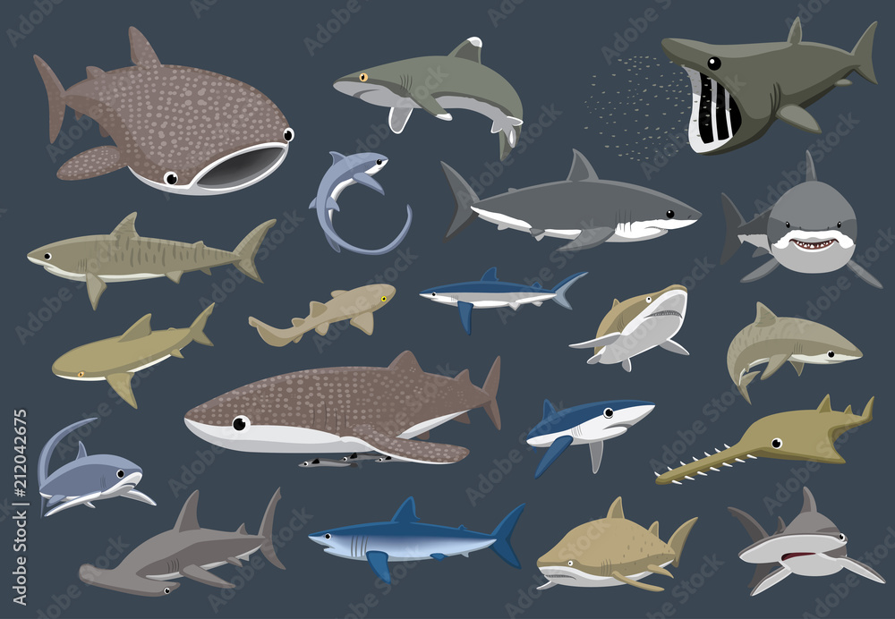 Fototapeta premium Różne rekiny zestaw ilustracji wektorowych kreskówki