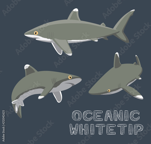 Oceanic Whitetip Cartoon Vector Illustration