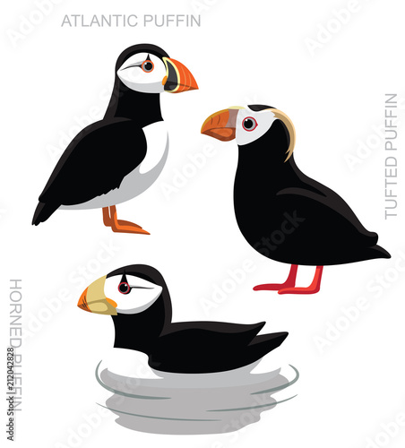 Bird Puffin Set Cartoon Vector Illustration