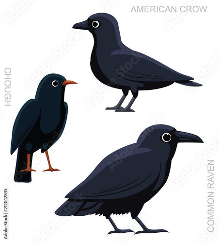 Bird Crow Set Cartoon Vector Illustration