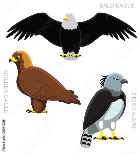 Bird Eagle Set Cartoon Vector Illustration
