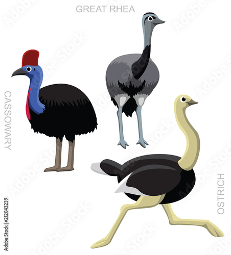Bird Ostrich Set Cartoon Vector Illustration
