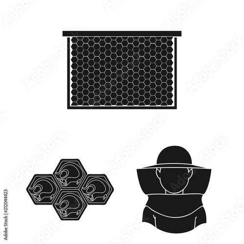 Apiary and beekeeping black icons in set collection for design.Equipment and production of honey vector symbol stock web illustration.