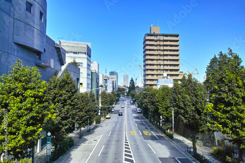 恵比寿の渋谷橋交差点の横断歩道上から見た広尾方面の景観 