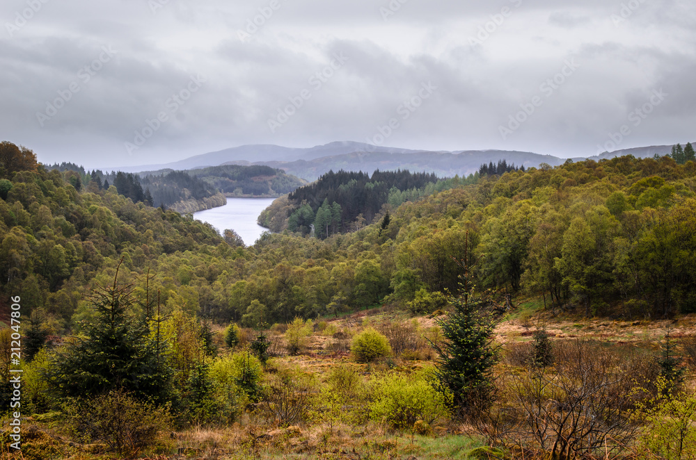 Forest and lake. Scottish landscape. Scotland, Great Britain Forest and lake. Scottish landscape. Scotland, Great Britain