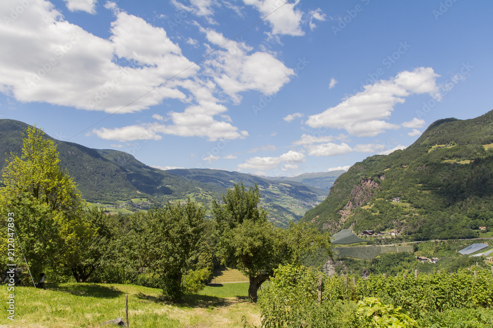 Fototapeta premium Seiser Alm in Südtirol