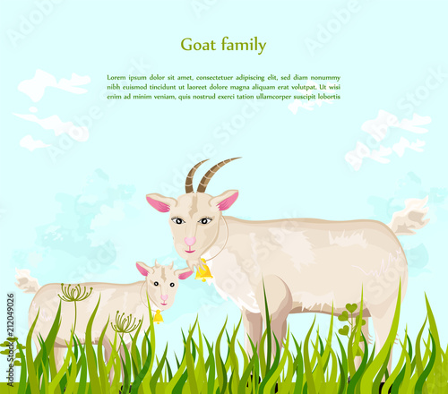 Goats at the farm Vector. green summer backgrounds