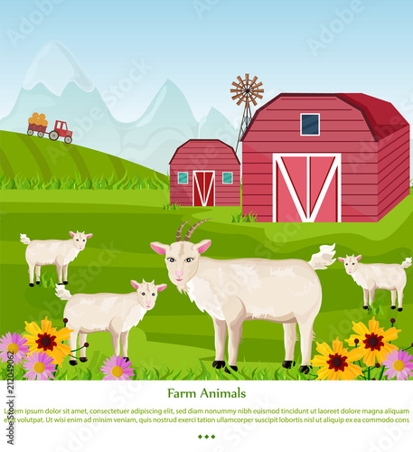 Goats at the farm Vector. Red village house. green summer backgrounds