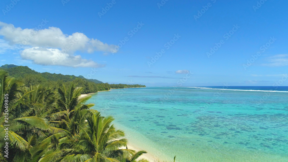 AERIAL: Flying over tall palm trees and towards the open seas in the Pacific. AERIAL: Flying over tall palm trees and towards the open seas in the Pacific.