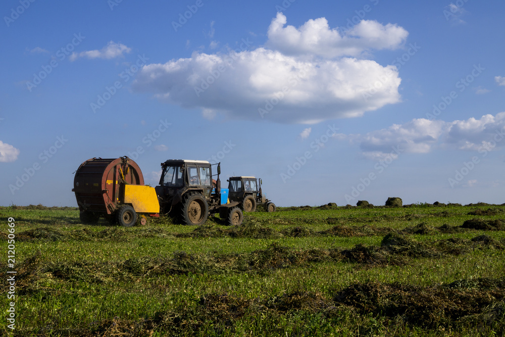 Obraz premium Agricultural machinery, a tractor collecting grass in a field against a blue sky. Hay harvesting, grass harvesting. Season harvesting, grass, agricultural land. 