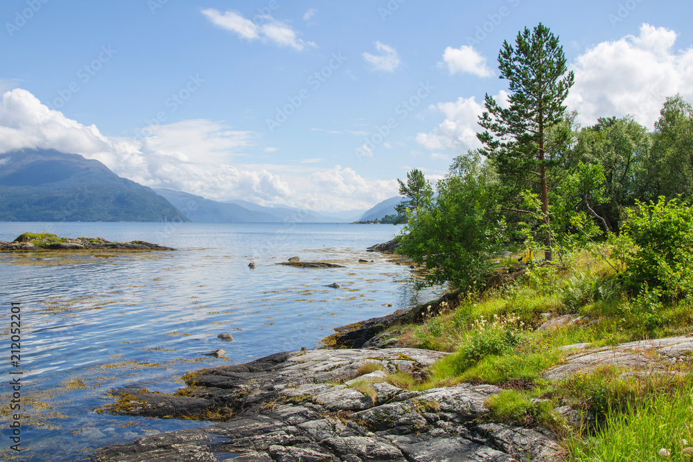 Tree on the shore