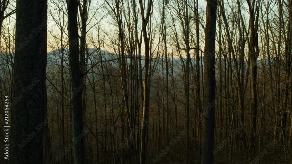 A time lapse view through the trees of a forest in the Blue Ridge Mountains in North Carolina as the sun sets and casts shadows. A time lapse view through the trees of a forest in the Blue Ridge Mountains in North Carolina as the sun sets and casts shadows.