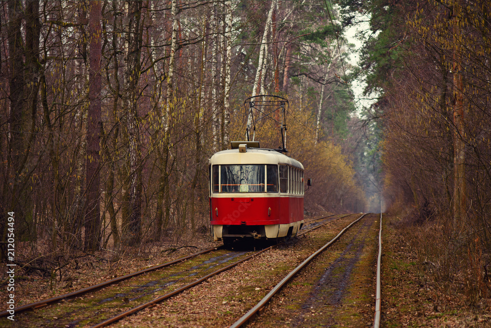 Obraz premium Vintage red tram running through the forest part of the city. Autumn background in the park in Kiev, Ukraine.