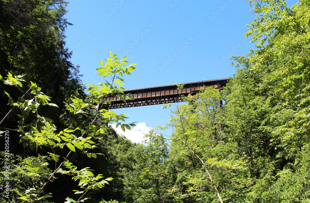 Old railroad bridge in Watkins Glen. View from below through the trees. Blue sky in the summer Old railroad bridge in Watkins Glen. View from below through the trees. Blue sky in the summer