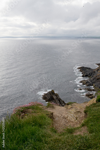 Dramatic landscape of Southern Irish Coastline in late spring © anca enache