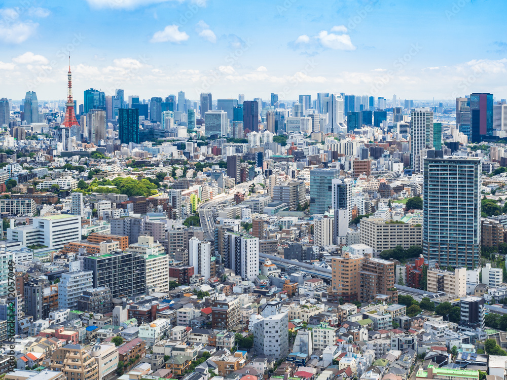Fototapeta premium 東京 青空と都市風景